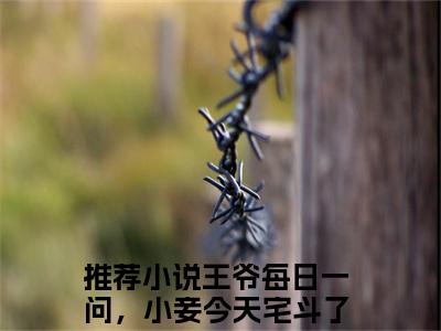 王爷每日一问，小妾今天宅斗了吗小说江锦心全文免费阅读无弹窗-正版小说王爷每日一问，小妾今天宅斗了吗全文阅读