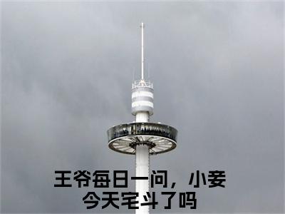 江锦心（王爷每日一问，小妾今天宅斗了吗）全文免费阅读无弹窗大结局_（王爷每日一问，小妾今天宅斗了吗）章节列表_笔趣阁