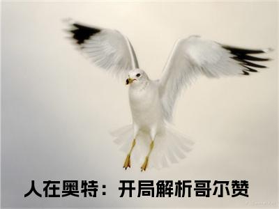 人在奥特：开局解析哥尔赞（余生）完整版小说阅读大结局_人在奥特：开局解析哥尔赞（余生）全文免费阅读笔趣阁（余生）