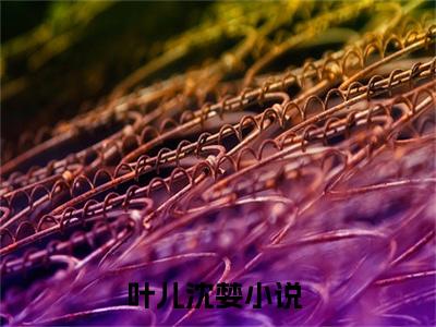 叶儿沈婪小说限时免费,叶儿沈婪完结版小说阅读无弹窗_笔趣阁