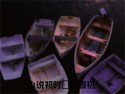祁时旻徐颜初全文免费阅读（祁时旻徐颜初）全文免费阅读大结局_祁时旻徐颜初全文免费阅读无弹窗_笔趣阁