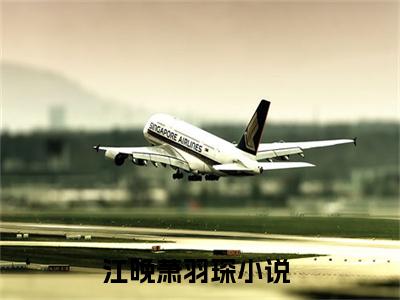 江晚萧羽琛免费阅读无弹窗大结局，江晚萧羽琛（最新全章节）全文阅读免费阅读-笔趣阁