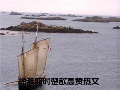 徐燕期时楚歆小说免费阅读 徐燕期时楚歆免费阅读无广告