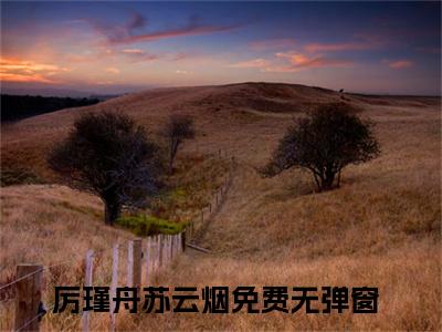厉瑾舟苏云烟(厉瑾舟苏云烟)小说免费阅读无弹窗_(厉瑾舟苏云烟)厉瑾舟苏云烟最新章节列表笔趣阁（厉瑾舟苏云烟）