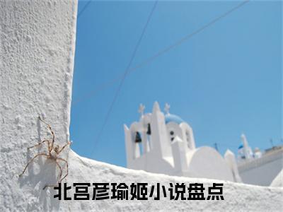 北宫彦瑜姬（北宫彦瑜姬）小说在线阅读_北宫彦瑜姬免费阅读笔趣阁（北宫彦瑜姬）