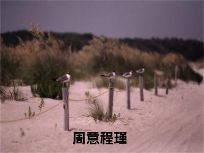 豪门夫人马甲多全文免费在线阅读_（周意程瑾免费阅读无弹窗）豪门夫人马甲多全文免费完结版阅读（周意程瑾）