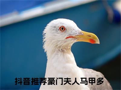 （豪门夫人马甲多小说免费阅读）周意程瑾全文免费阅读无弹窗大结局-豪门夫人马甲多全文免费版阅读