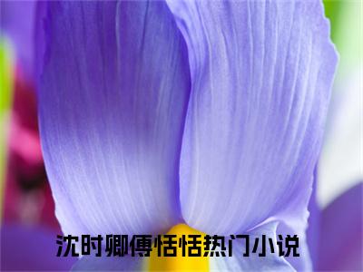 沈时卿傅恬恬全文免费阅读-全网首发小说沈时卿傅恬恬