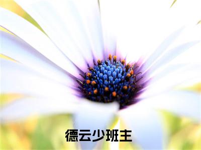 德云少班主郭麟完结小说-郭麟全文免费阅读无弹窗
