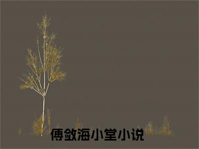 傅敛海小堂（傅敛海小堂）全文免费阅读无弹窗大结局_(傅敛海小堂)傅敛海小堂全文免费阅读无弹窗最新章节列表_笔趣阁（傅敛海小堂）