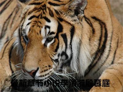 李清漪殷慕庭（李清漪殷慕庭）全文免费无弹窗大结局_李清漪殷慕庭最新章节目录笔趣阁（李清漪殷慕庭）