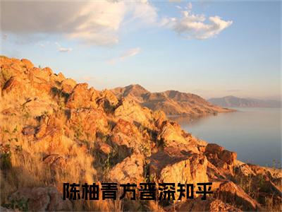 陈柚青方晋深（陈柚青方晋深小说）全文免费阅读无弹窗大结局_陈柚青方晋深小说最新章节列表_笔趣阁（陈柚青方晋深）