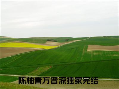 陈柚青方晋深（陈柚青方晋深）全文免费阅读无弹窗大结局_(陈柚青方晋深)最新章节列表_笔趣阁