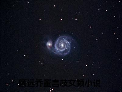 顾远乔董言枝阅读无弹窗大结局_（顾远乔董言枝阅读无弹窗）最新章节列表_笔趣阁（顾远乔董言枝）