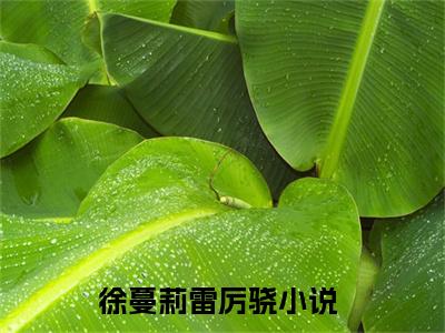 徐蔓莉雷厉骁（徐蔓莉雷厉骁）全文免费阅读无弹窗大结局-徐蔓莉雷厉骁最新章节列表-笔趣阁