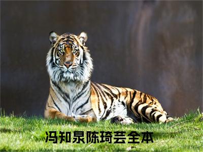 冯知泉陈琦芸最新免费小说全文在线阅读无弹窗大结局_（冯知泉陈琦芸全文在线阅读无弹窗）