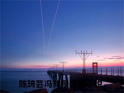 2023年爆款小说《陈琦芸冯知泉》主角陈琦芸冯知泉全文在线完本阅读