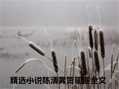 陈清雾贺砚庭小说大结局精彩推荐，陈清雾贺砚庭全文完整版在线阅读
