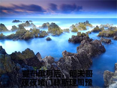 （宣布单身后，前夫哥夜夜堵门）全文免费阅读无弹窗大结局_（林斯理周豫）章节列表_笔趣阁