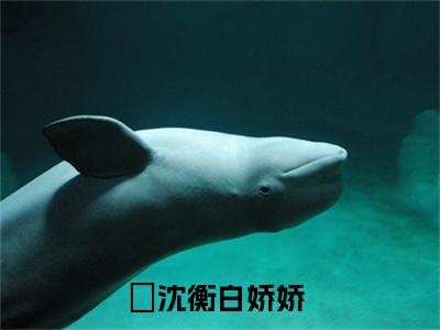 重回七十年代，小娇娇她也想宠夫(沈衡白娇娇)全文免费阅读无弹窗大结局_重回七十年代，小娇娇她也想宠夫最新章节列表_笔趣阁(沈衡白娇娇)