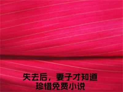周梦蝶夏初阳失去后，妻子才知道珍惜全文阅读 周梦蝶夏初阳免费阅读无弹窗