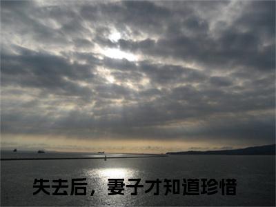 失去后，妻子才知道珍惜免费阅读无弹窗大结局，周梦蝶夏初阳最新章节