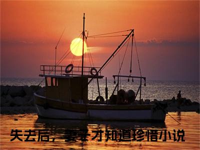 失去后，妻子才知道珍惜小说全文免费阅读（周梦蝶夏初阳）全文免费阅读无弹窗_失去后，妻子才知道珍惜小说全文免费阅读_笔趣阁（周梦蝶夏初阳）