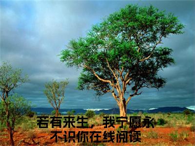主角是温漓傅凌川的小说叫什么名字 若有来生，我宁愿永不识你精彩结局阅读