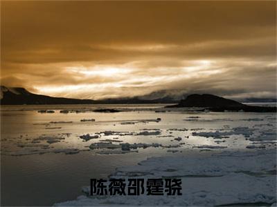 陈薇邵霆骁（陈薇邵霆骁）全文免费阅读无弹窗_陈薇邵霆骁最新小说_笔趣阁（陈薇邵霆骁）