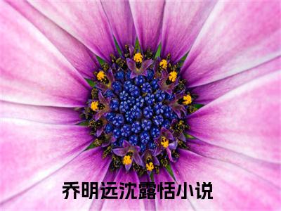 乔明远沈露恬小说大结局免费阅读，乔明远沈露恬抖音新上热文分享