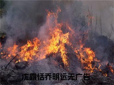 沈露恬乔明远（沈露恬乔明远）全文免费阅读无弹窗大结局_沈露恬乔明远(沈露恬乔明远)小说结局免费阅读（沈露恬乔明远）