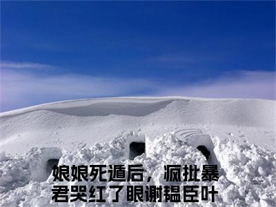 娘娘死遁后，疯批暴君哭红了眼（谢韫臣叶晚棠）免费阅读-（谢韫臣叶晚棠）最新章节小说全文在线阅读