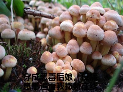 穿成恶毒后娘，反派崽崽追着我撒娇小说无弹窗（高长功田半夏）全文免费阅读无弹窗大结局_(高长功田半夏）高长功田半夏最新章节列表_笔趣阁（穿成恶毒后娘，反派崽崽追着我撒娇）
