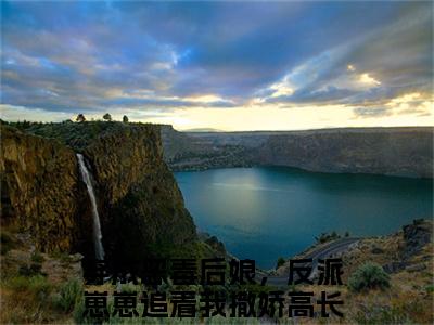 高长功田半夏（穿成恶毒后娘，反派崽崽追着我撒娇）在哪免费看-小说（穿成恶毒后娘，反派崽崽追着我撒娇）全文完整版免费阅读高长功田半夏
