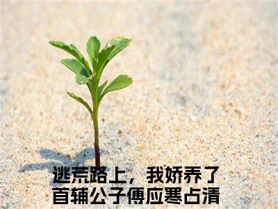 逃荒路上，我娇养了首辅公子小说傅应寒占清月全文免费阅读(逃荒路上，我娇养了首辅公子已完结)