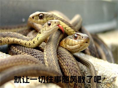 柳徽音陆绍庭（就让一切往事随风散了吧免费小说）全文免费阅读无弹窗大结局_就让一切往事随风散了吧免费小说最新章节列表_笔趣阁