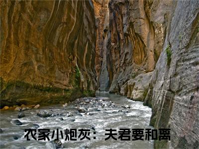 许静江逸（农家小炮灰：夫君要和离）全文免费阅读无弹窗大结局_许静江逸在线阅读笔趣阁(农家小炮灰：夫君要和离）