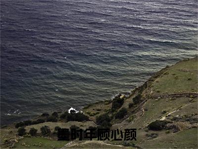 好书推荐小说墨时年顾心颜-墨时年顾心颜全文免费阅读大结局