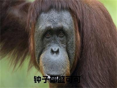 钟子郁盛可可是什么小说，钟子郁盛可可（钟子郁盛可可）完整章节在线阅读