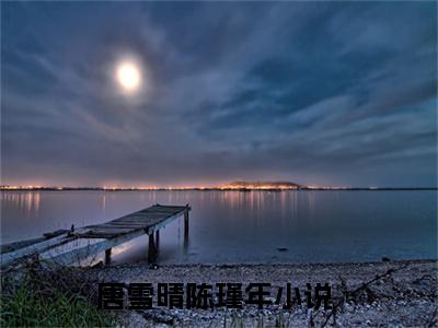 唐雪晴陈瑾年(唐雪晴陈瑾年)全文免费阅读最新章节大结局_ 唐雪晴陈瑾年全文免费阅读最新章节列表_笔趣阁