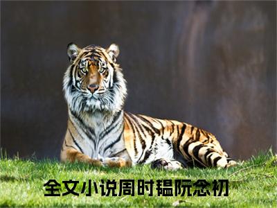 周时韫阮念初最新章节（周时韫阮念初）全文免费阅读无弹窗大结局_周时韫阮念初免费阅读（周时韫阮念初）