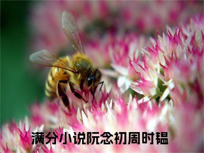 阮念初周时韫小说小说全文免费阅读（阮念初周时韫）全文免费阮念初周时韫读无弹窗大结局