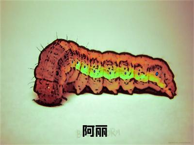 穿越兽世之我成了团宠小说全文免费阅读无弹窗大结局_（穿越兽世之我成了团宠）阿丽最新章节列表笔趣阁（阿丽）