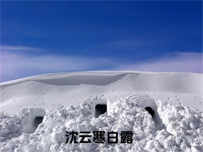 沈云寒白露(沈云寒白露)全文免费阅读大结局_沈云寒白露免费在线阅读_笔趣阁（沈云寒白露）