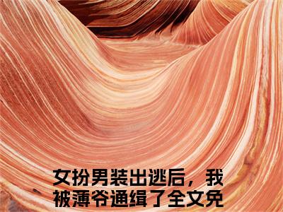 薄夜游离小说免费（女扮男装出逃后，我被薄爷通缉了）全文免费阅读无弹窗-薄夜游离小说全文免费阅读-笔趣阁