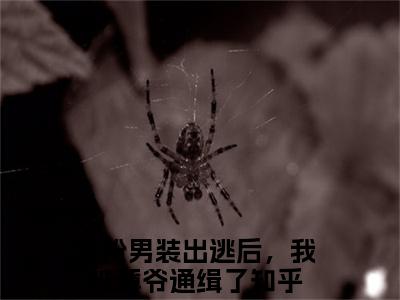女扮男装出逃后，我被薄爷通缉了小说-薄夜游离最新章节全文阅读