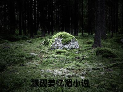 穆砚姜忆湄（穆砚姜忆湄小说）全文免费阅读无弹窗大结局_（穆砚姜忆湄阅读无弹窗）穆砚姜忆湄小说章节列表_笔趣阁