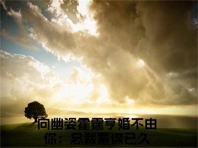 向幽姿霍霆亨（婚不由你：总裁蓄谋已久小说）全文免费阅读无弹窗大结局_向幽姿霍霆亨最新章节（婚不由你：总裁蓄谋已久）