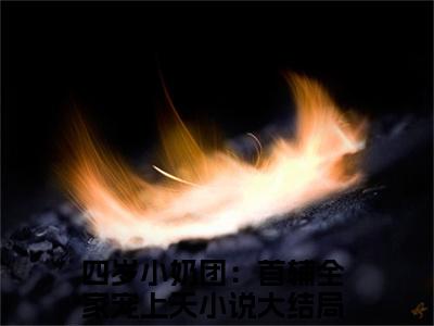 四岁小奶团：首辅全家宠上天小说(袁珍珍顾遇)全文免费阅读_(袁珍珍顾遇)四岁小奶团：首辅全家宠上天小说最新章节列表_笔趣阁(袁珍珍顾遇)