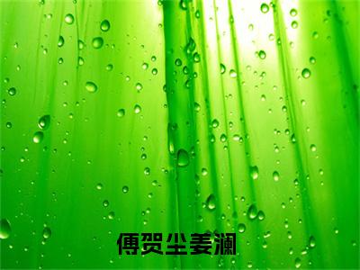 小说傅贺尘姜澜全文免费阅读无弹窗大结局-傅贺尘姜澜在线阅读